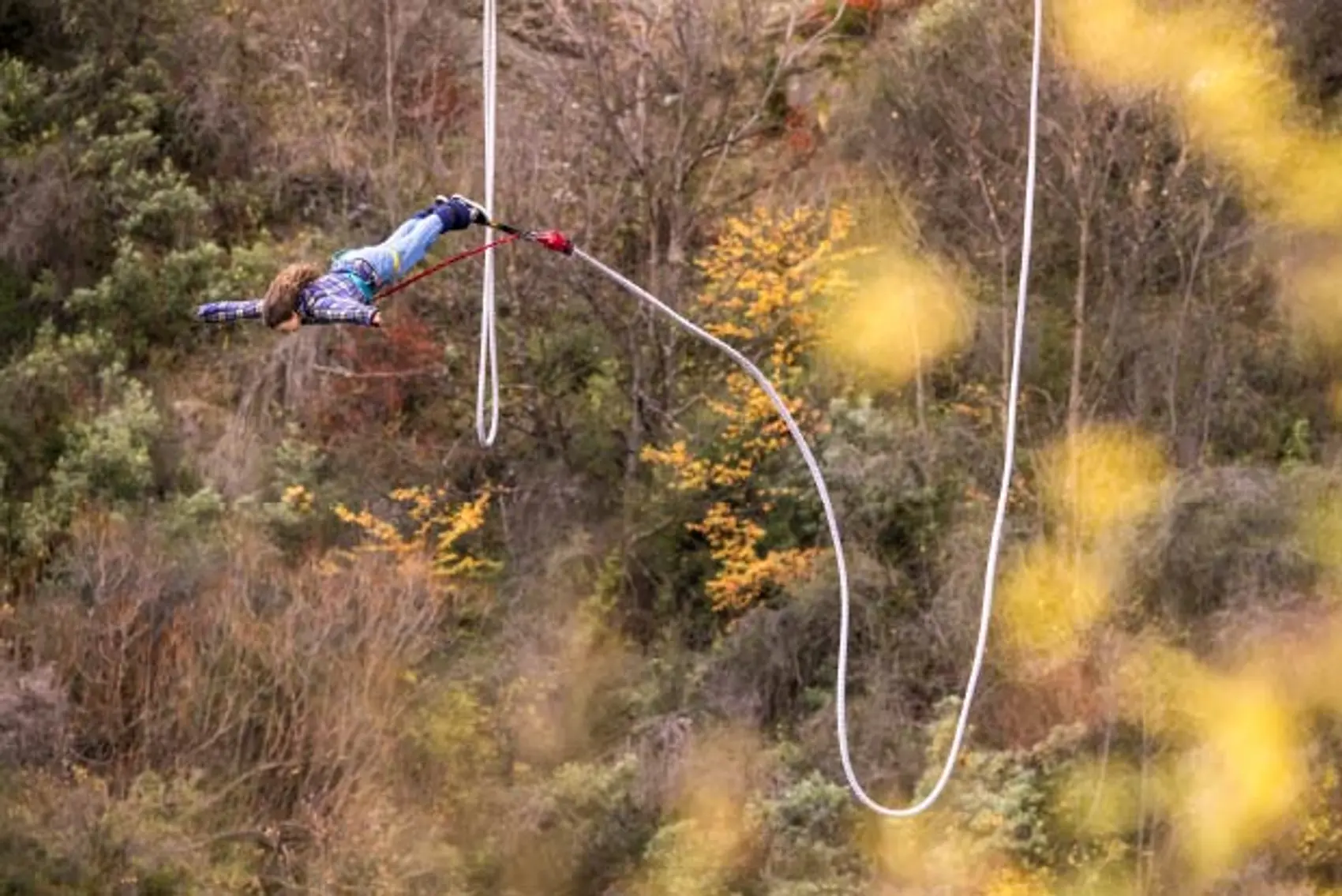 Picture of person bungy jumping in New Zealand