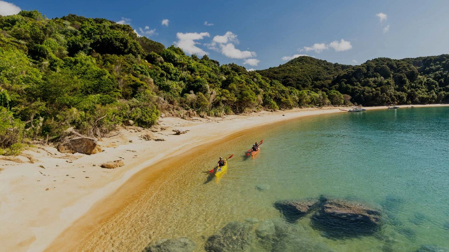 Two kayakers in Abel Tasman National Park