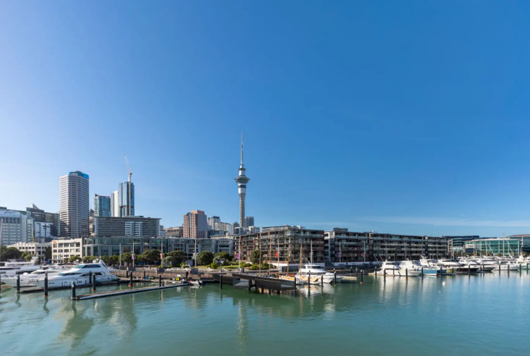 The waterfront in Auckland