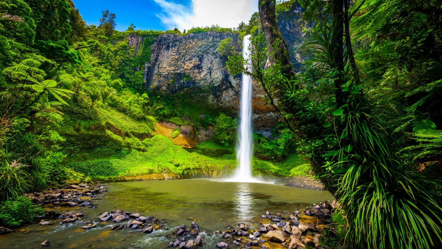 Waterfall in New Zealand's North Island
