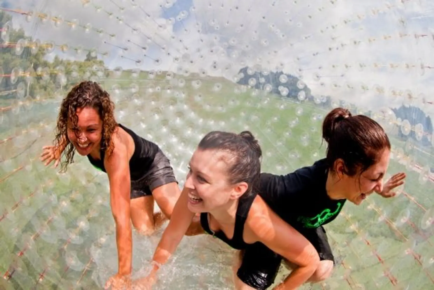 Wild Kiwi guests zorbing with OGO in Rotorua