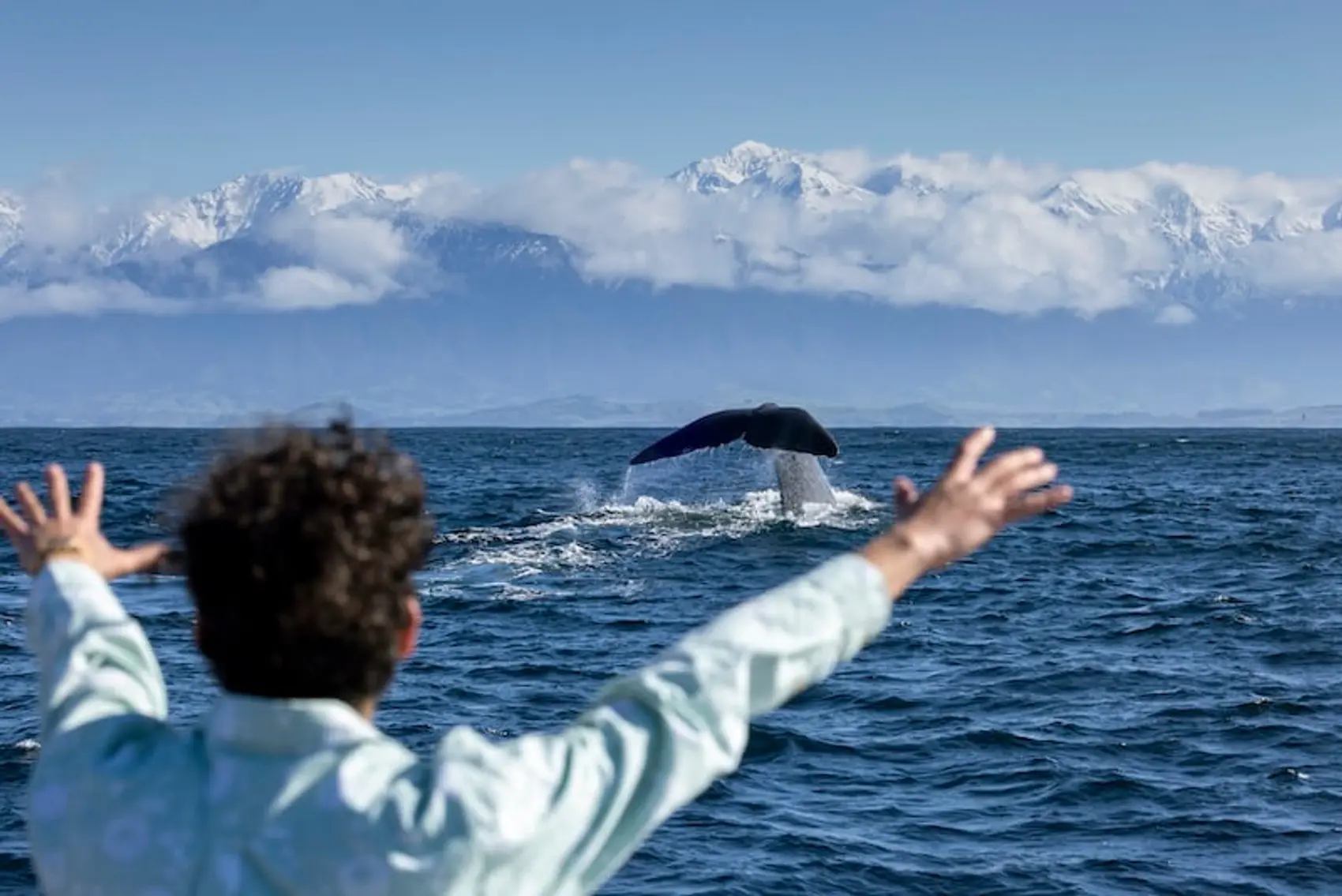 Male holds hands outstretched at a whale breaching in Kaikoura New Zealand.