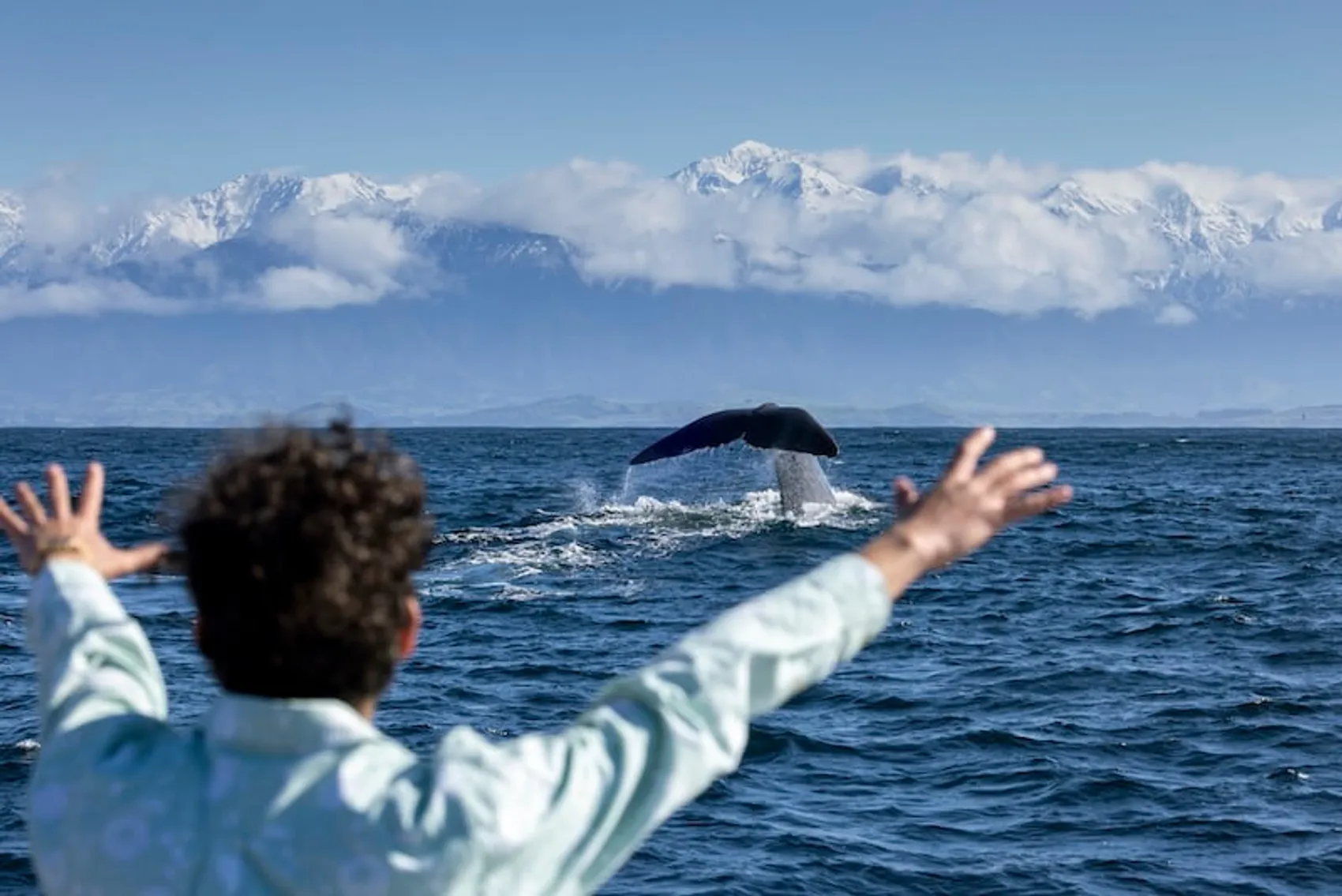 Male holds hands outstretched at a whale breaching in Kaikoura New Zealand.