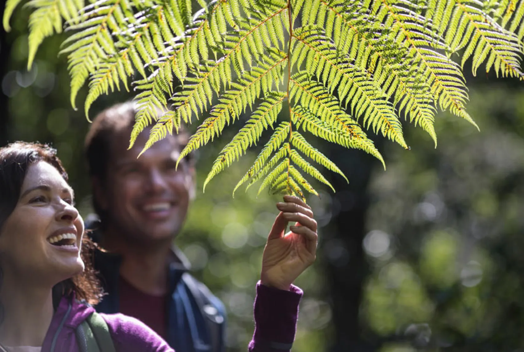 Woman holding onto a New Zealand fern leaf