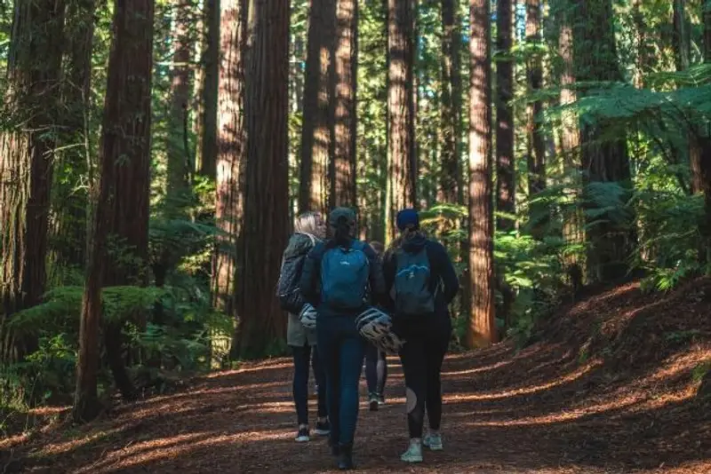 Wild Kiwi guests walking through Red Woods, Rotorua