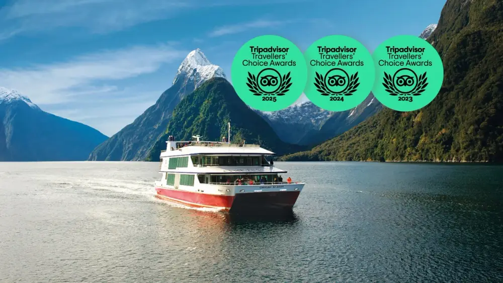 Boat cruising in Milford Sound