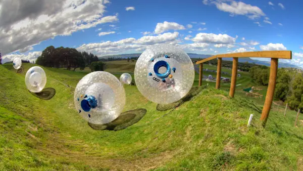 Zorbs rolling down a hill in Rotorua