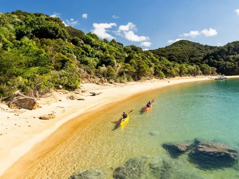Kayakers exploring the crystal-clear turquoise water along a golden sand beach in Abel Tasman National Park, New Zealand, surrounded by lush native forest and summer sunshine.