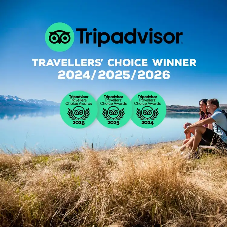Trip Advisor Travelers' Choice Logo