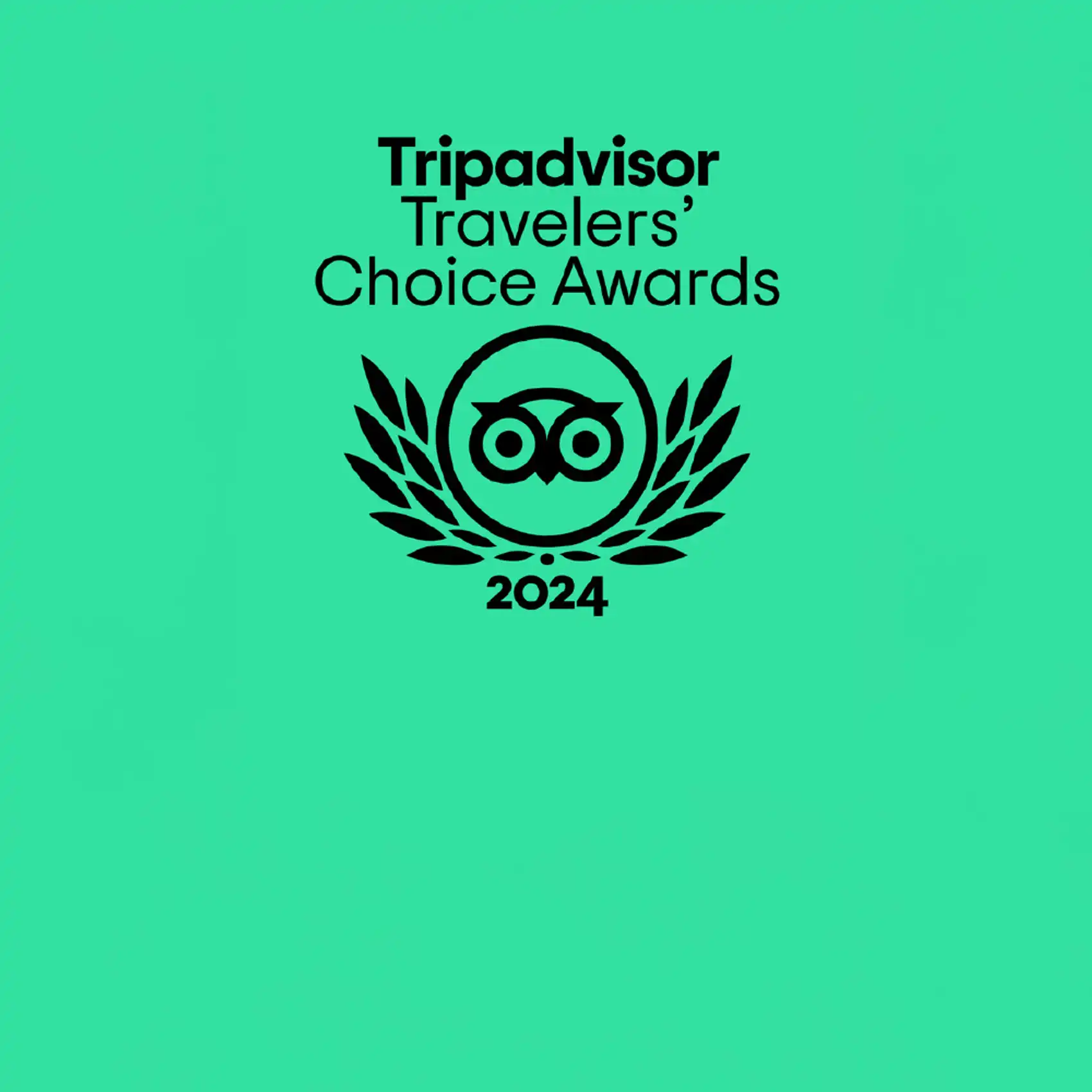 Trip Advisor Travelers' Choice Logo