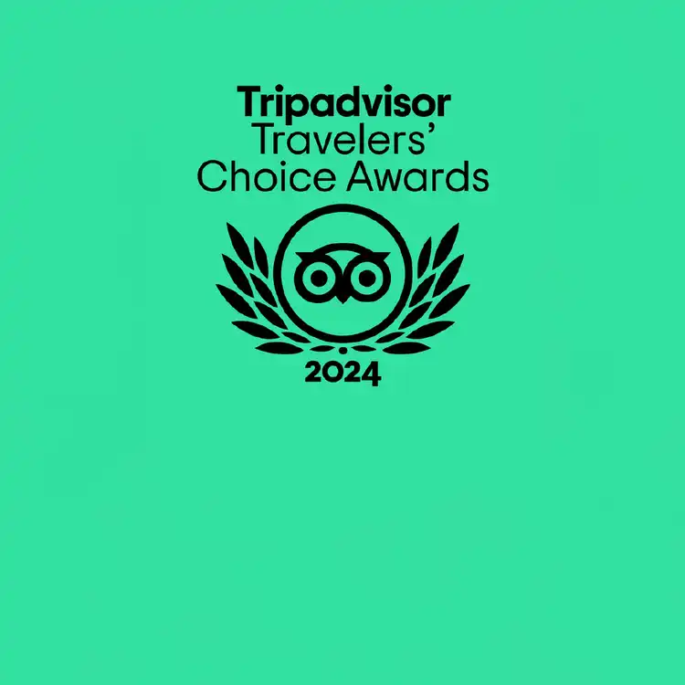 Trip Advisor Travelers' Choice Logo