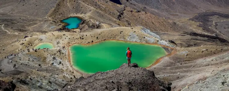 Our Top 5 list of the best National Parks in New Zealand. You can't visit New Zealand without seeing these incredible places.