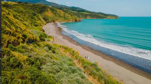 Raglan Harbour