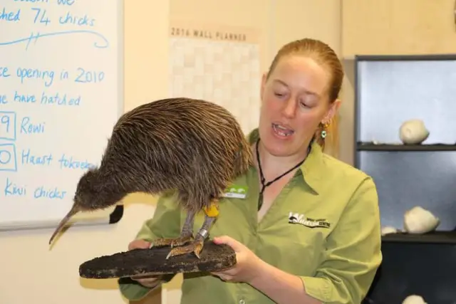 Woman showing off a Kiwi bird at the West Coast Wildlife Centre
