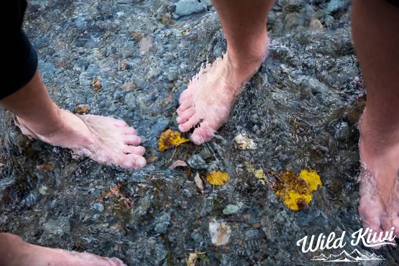 Wild and wonderful New Zealand holidays - Make the most of nature