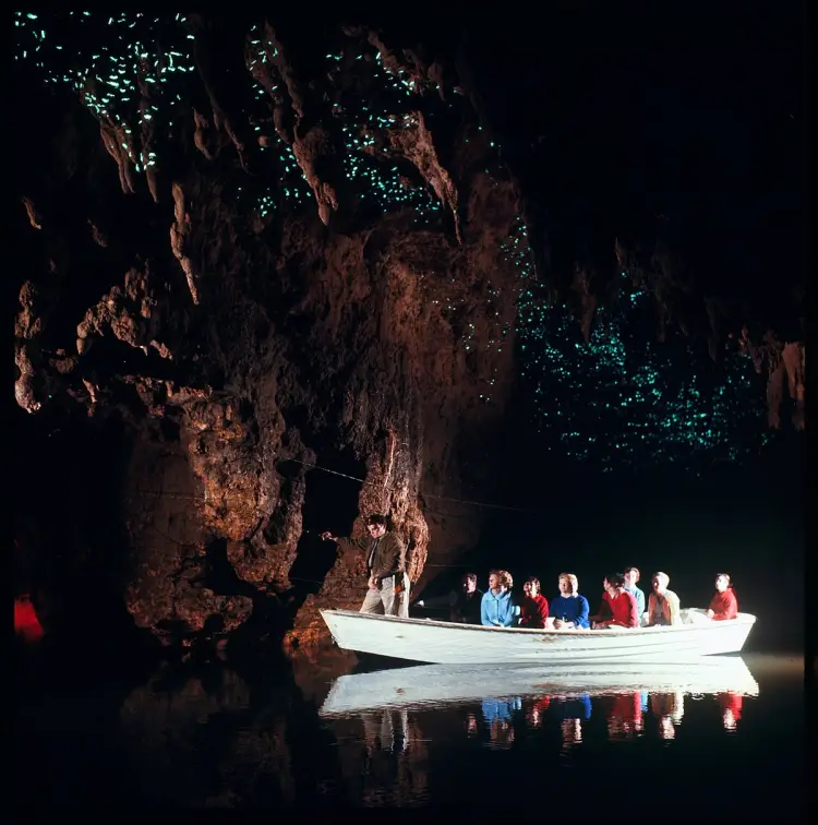 Waitomo Glowworm Caves Tou