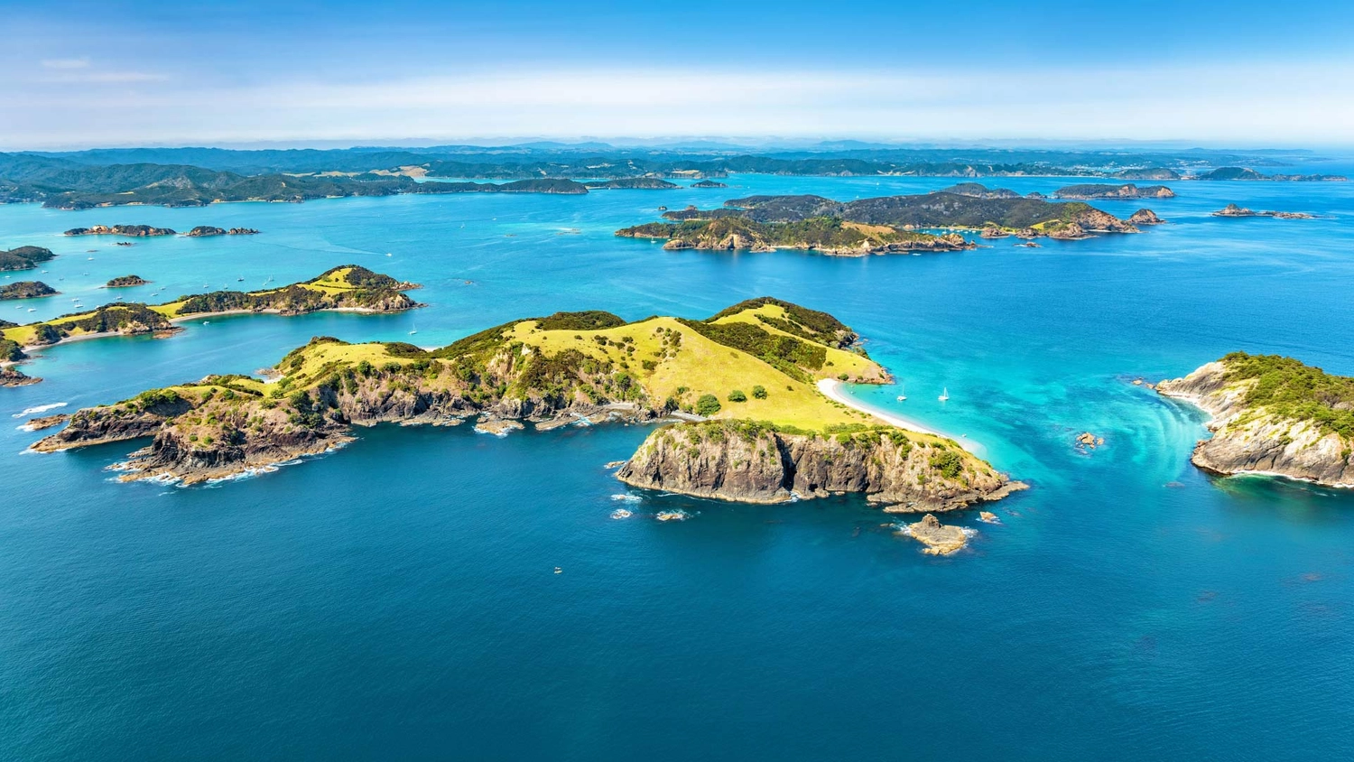 The Bay of Islands