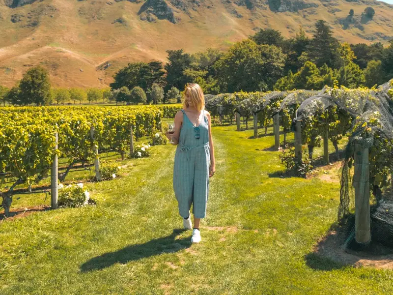 A 20-something traveller walks the Marlborough vineyards in autumn on a wine tasting during a Wild Kiwi small group tour of New Zealand.