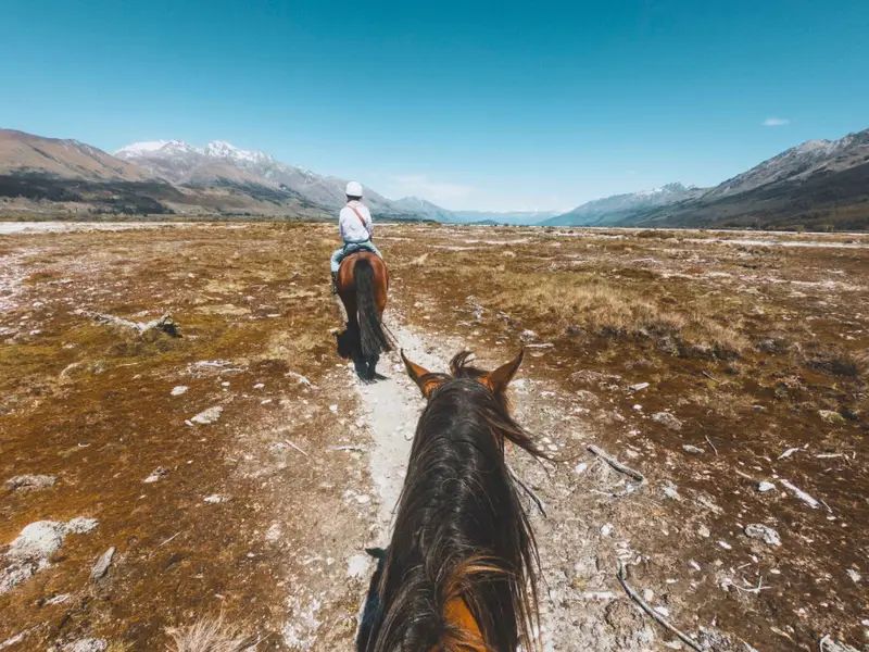 A group of young travellers horseback riding in Queenstown during Autumn while on a small group adventure your of New Zealand.