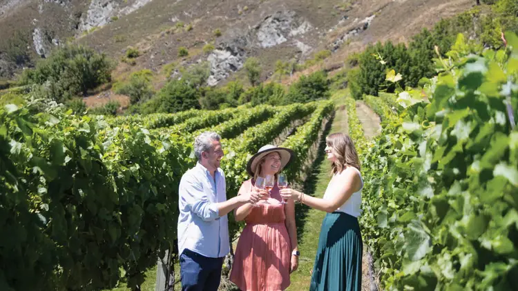 Group of people tasting wine amongst the vines in Queenstown