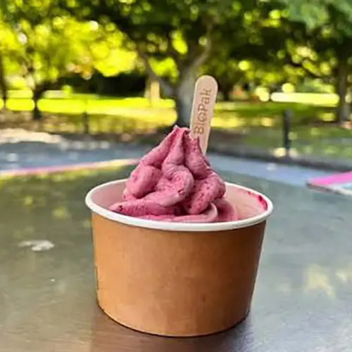 A cup of real fruit ice cream