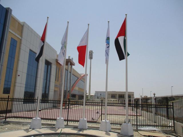 Hoisting Flags, image 2