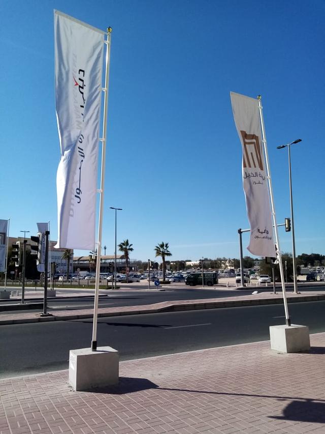 Advertising Flags, image 40