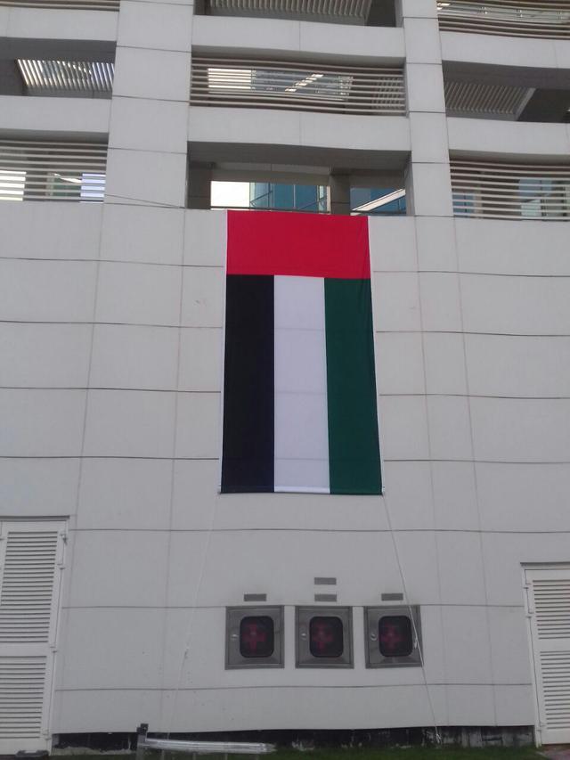 Building Villa Big Flags, image 12