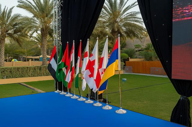 Conference Flag, image 1