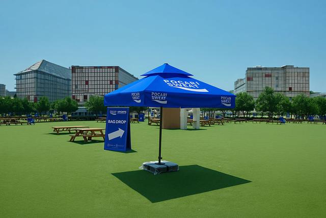 Parasols Umbrella, image 3