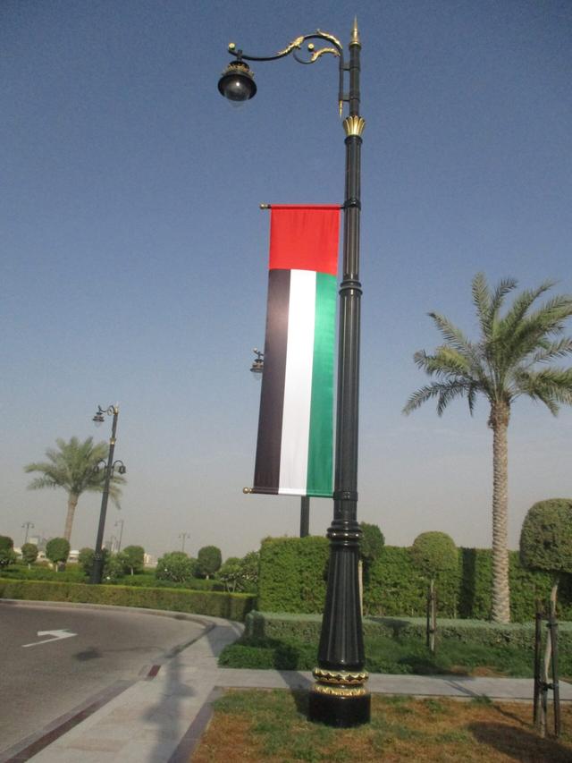 Lamp Post Flags, image 2