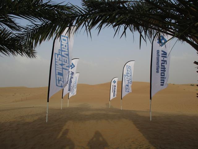 Curvetop Flags, image 2