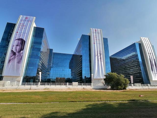 Building Villa Big Flags, image 4