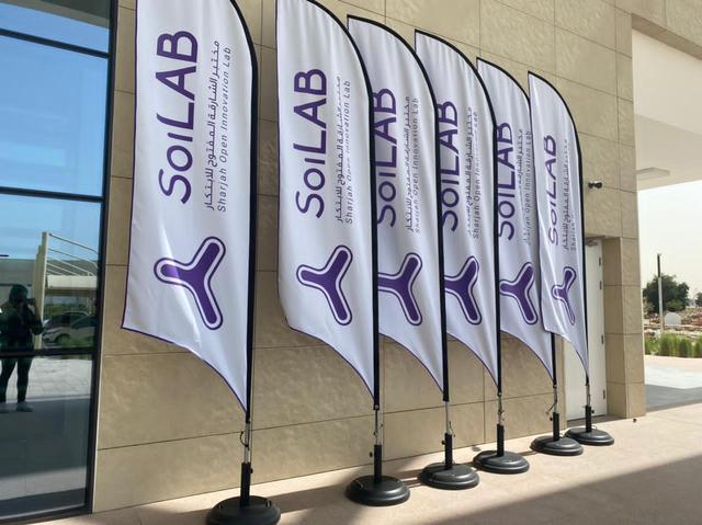 Curvetop Flags, image 8