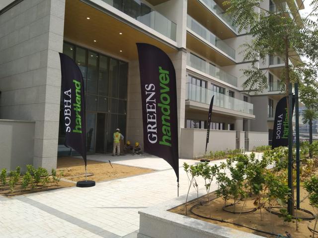 Curvetop Flags, image 17
