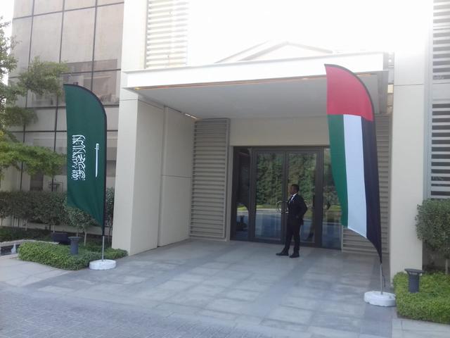 Curvetop Flags, image 19