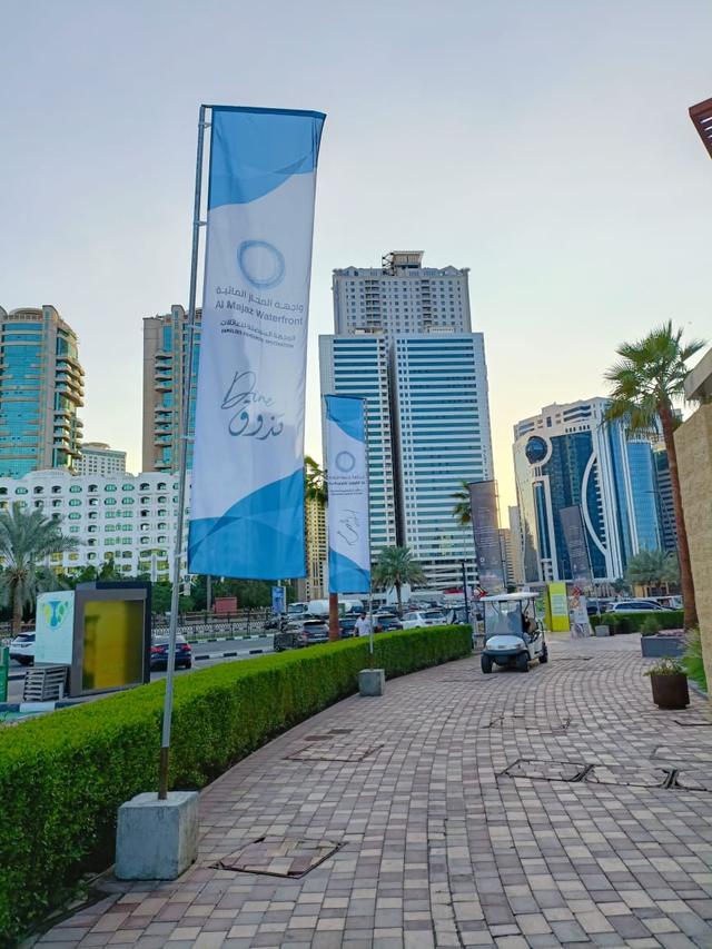 Advertising Flags, image 3