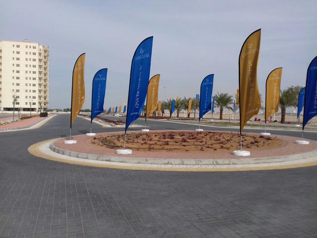 Curvetop Flags, image 10