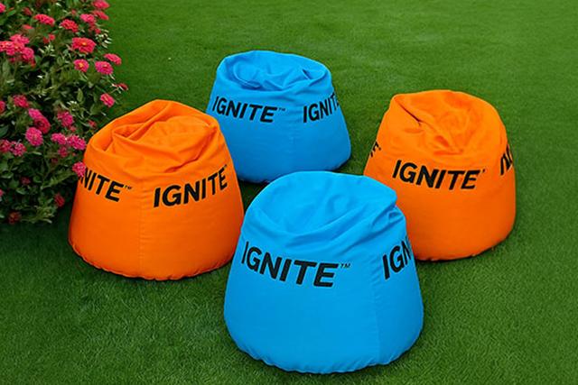Bean Bag, image 1