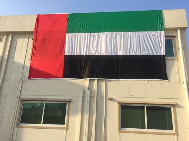 Building Villa Big Flags, image 15