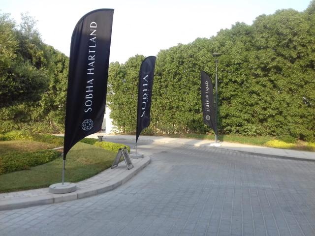 Curvetop Flags, image 2