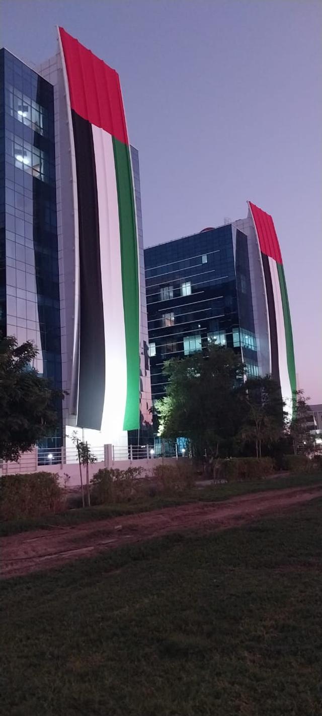 Building Villa Big Flags, image 8