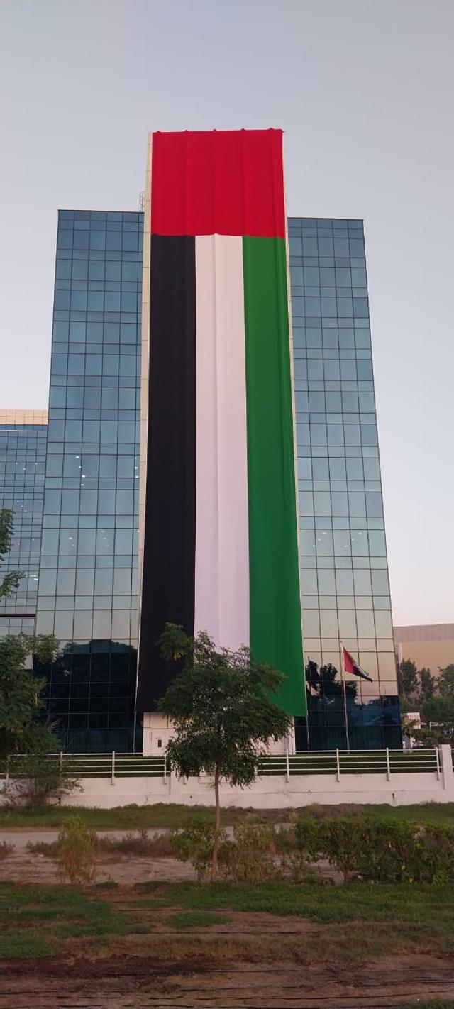 Building Villa Big Flags, image 9