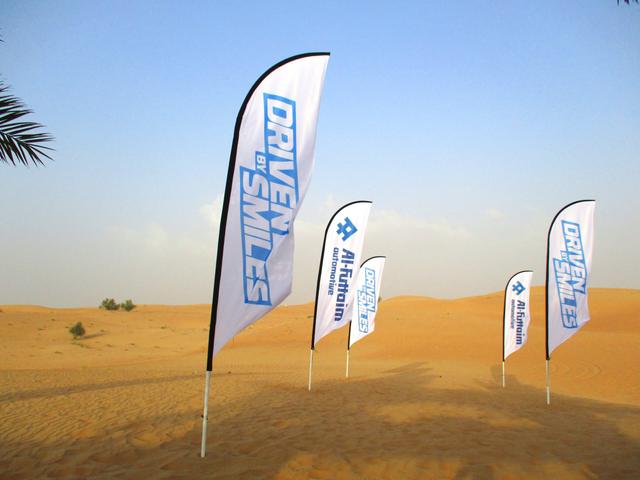 Curvetop Flags, image 4
