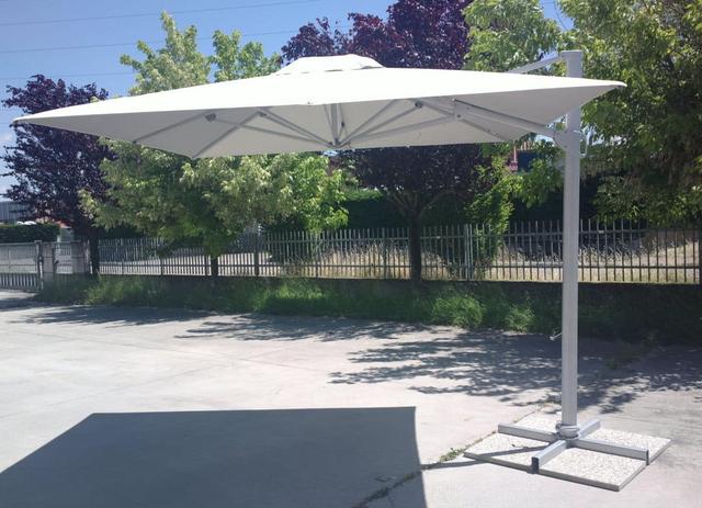 Parasols, image 2