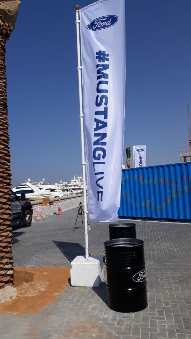 Advertising Flags, image 14