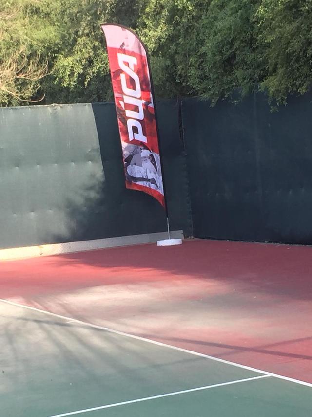 Curvetop Flags, image 21
