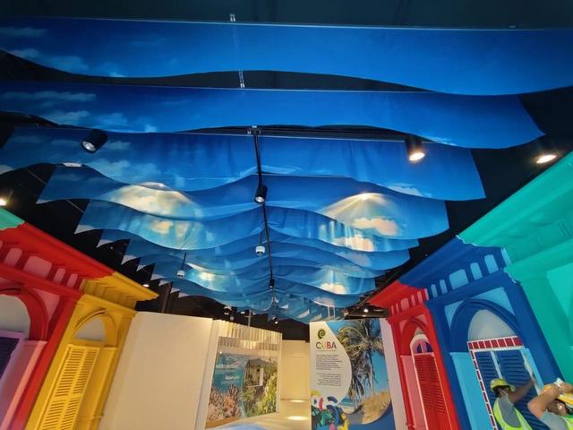 Sun Shades, image 3