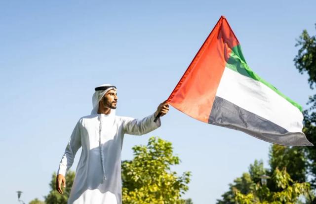 Hand Flags, image 2