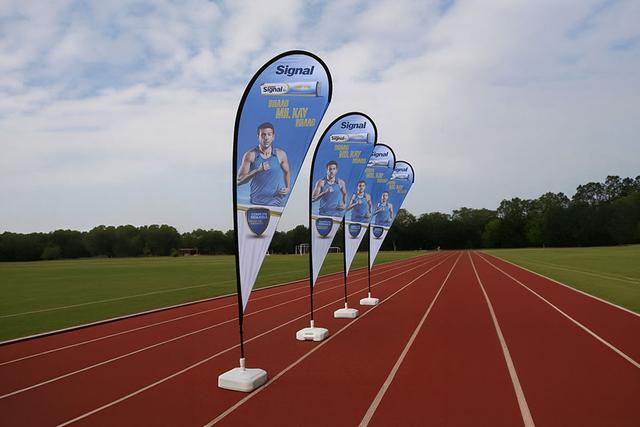 Flying Banner, image 1
